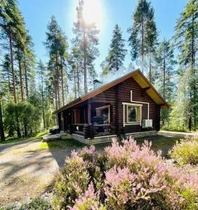 A Unique cottage in a pine forest by the lake - Matku