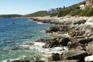 Apartments by the sea Milna, Vis - 8943