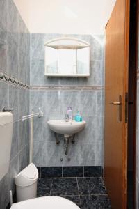 Apartments with a parking space Maslenica, Novigrad - 6572