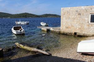 Apartments by the sea Vis - 8525