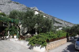 Apartments with a parking space Makarska - 6792