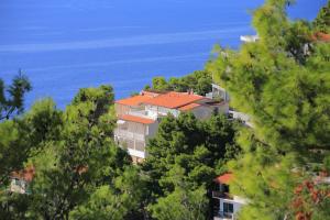 Apartments by the sea Brela, Makarska - 6688 