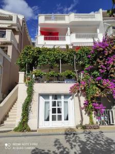 Apartments by the sea Podgora, Makarska - 6596 