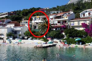 Apartments by the sea Podgora, Makarska - 6670