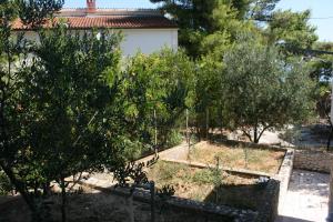 Apartments by the sea Slatine, Ciovo - 6888