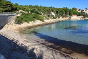 Apartments by the sea Milna, Vis - 8490