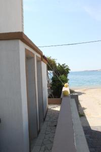 Apartments by the sea Metajna, Pag - 6497