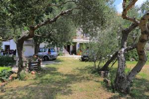 Apartments with a parking space Tucepi, Makarska - 6695