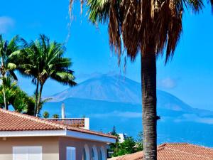 Apartamento único en El Sauzal - inolvidable!!!