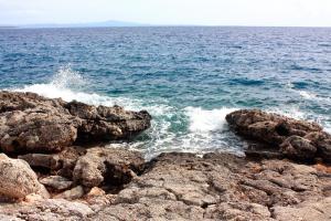 Seaside holiday house Ivan Dolac, Hvar - 12958