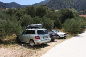 Apartments with a parking space Gradac, Makarska - 6881