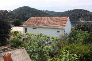 Apartments by the sea Cove Saplunara, Mljet - 4901