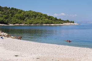 Apartments by the sea Stomorska, Solta - 5239