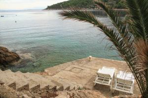 Secluded fishermans cottage Cove Stoncica, Vis - 8894