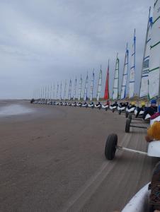 Appartements studio Berck Plage d'Opale : photos des chambres