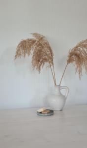 Maisonnette Slijkplaat 18