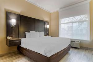 King Suite - Accessible/Non-Smoking room in Comfort Suites Kingwood Houston North