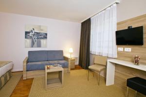 Appart'hotels Sejours & Affaires Strasbourg Kleber : Grand Studio (3 Adultes)