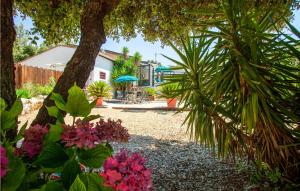 Maisons de vacances Amazing Home In Signes With Wifi, Heated Swimming Pool And Swimming Pool : photos des chambres
