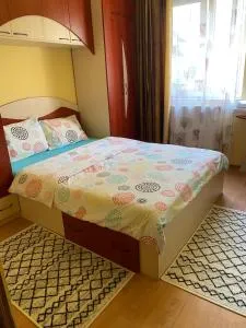 Exclusive HORTENSIEI - Бая-Маре