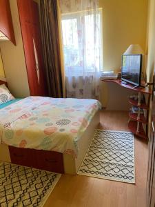 Exclusive HORTENSIEI