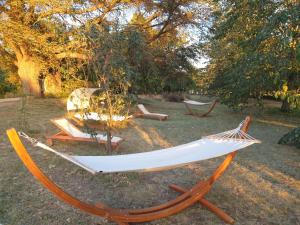 B&B / Chambres d'hotes Chateau de Saint Bonnet les Oules : photos des chambres