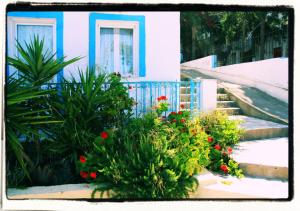 Agelica Apartments Kalymnos Greece