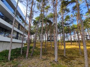 Apartament Rogowo Shellterapartment pl