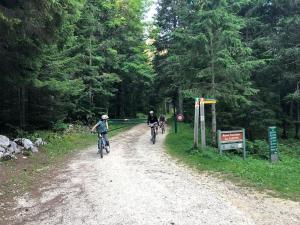 Maisons de vacances Ferme des deux Freres, Autrans, Vercors : photos des chambres