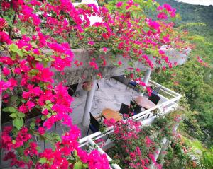 Lonos Circle Private Garden