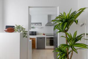 iFlat Cozy Apartment near Saint Peter n° 2