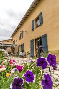 B&B / Chambres d'hotes Chambres d'Hotes La Vigneronne : photos des chambres