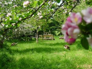 Tuell Farm Cottages