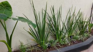 Hermoso Loft a estrenar con Patio en excelente ubicación