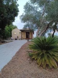 ELAIONAS TEO - Agios Ioannis