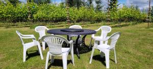 Vigio Brasta camping