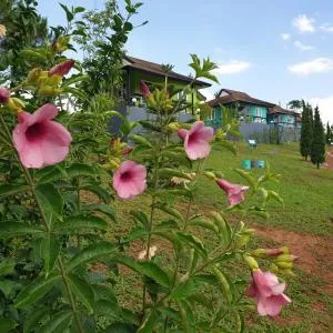 A&Bมิราเคิลเขาค้อ - Ban Khao Sai