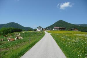 Gasthof Jachenau
