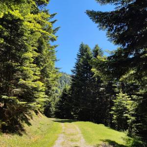 Appartements Grand appartement en RDC Vallee de Campan : photos des chambres