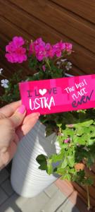 Apartament Letni Wiatr