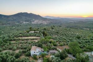 Cortijo La Torrecilla