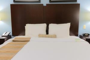 King Room - Disability Access Tub room in Best Western Plus JFK Inn and Suites