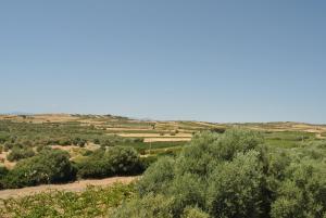 Villa Maria B&B img6