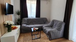 Apartmani Masline