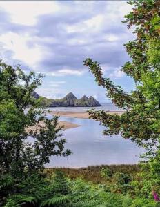 Nefoedd Romantic Shepherds Hut