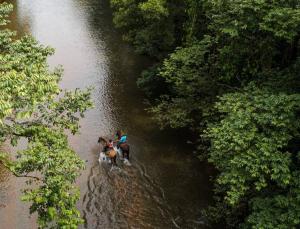 Casa Melina Torio Cozy upscale 2bd jungle House