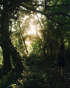 Casa Melina Torio Cozy upscale 2bd jungle House