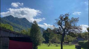 Ferienwohnung Heuberg