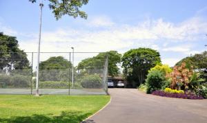 Birds of Paradise B&B