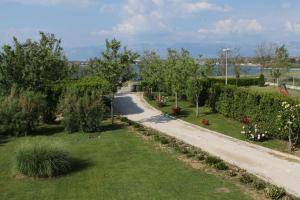 Family friendly apartments with a swimming pool Nin, Zadar - 6560